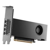 PNY NVIDIA RTX PRO 2000 Graphic Card - 16 GB GDDR7 - Full-height/Low-profile