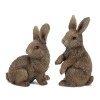 Garden Bunny Rabbit Figurine (Set of 2)