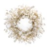 Silver Dollar Eucalyptus Wreath 33