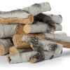 HPC 9/16-Piece Aspen Birch Concrete Outdoor Fire Logs