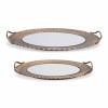 Mirror Tray with Ornate Metal Frame (Set of 2)