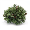 Mixed Pine Half Orb