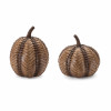 Rustic Pumpkin (Set of 2)