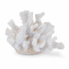 Set of 4 White Resin Coral Decorative Sculptures