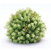 Foliage Half Orb (Set of 2)
