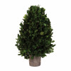 Natural Boxwood Foliage Topiary 15.5