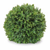 Boxwood Foliage Orb (Set of 2)