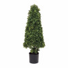 Potted Boxwood Foliage Topiary 38