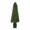Potted Boxwood Cone Topiary 51