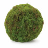 Faux Moss Orb (Set of 2)
