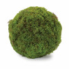 Faux Moss Orb (Set of 2)