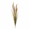 Foxtail Grass Bush (Set of 6)