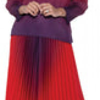 Divine Casuals Skirt Set in Red Designer Accordion Pleat Two-Piece with Statement Flower